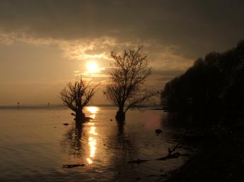 Lough Neagh bei Cookstown