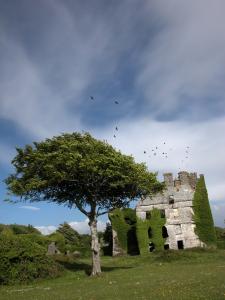 Menlo Castle bei Galway